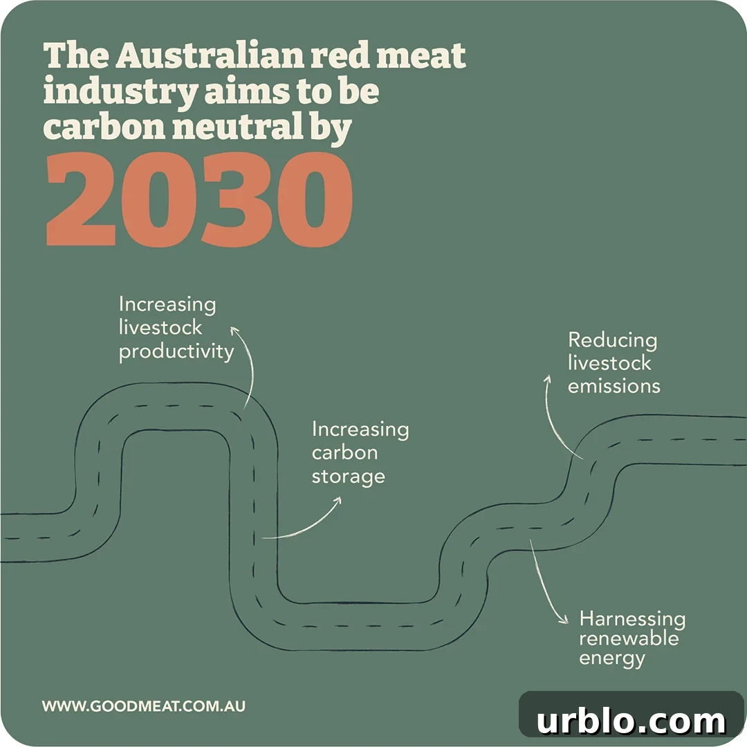 australian red meat industry goals