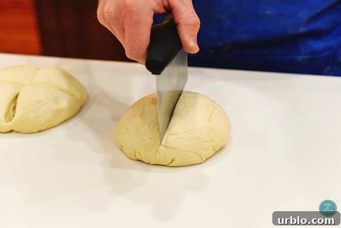 Dough rising