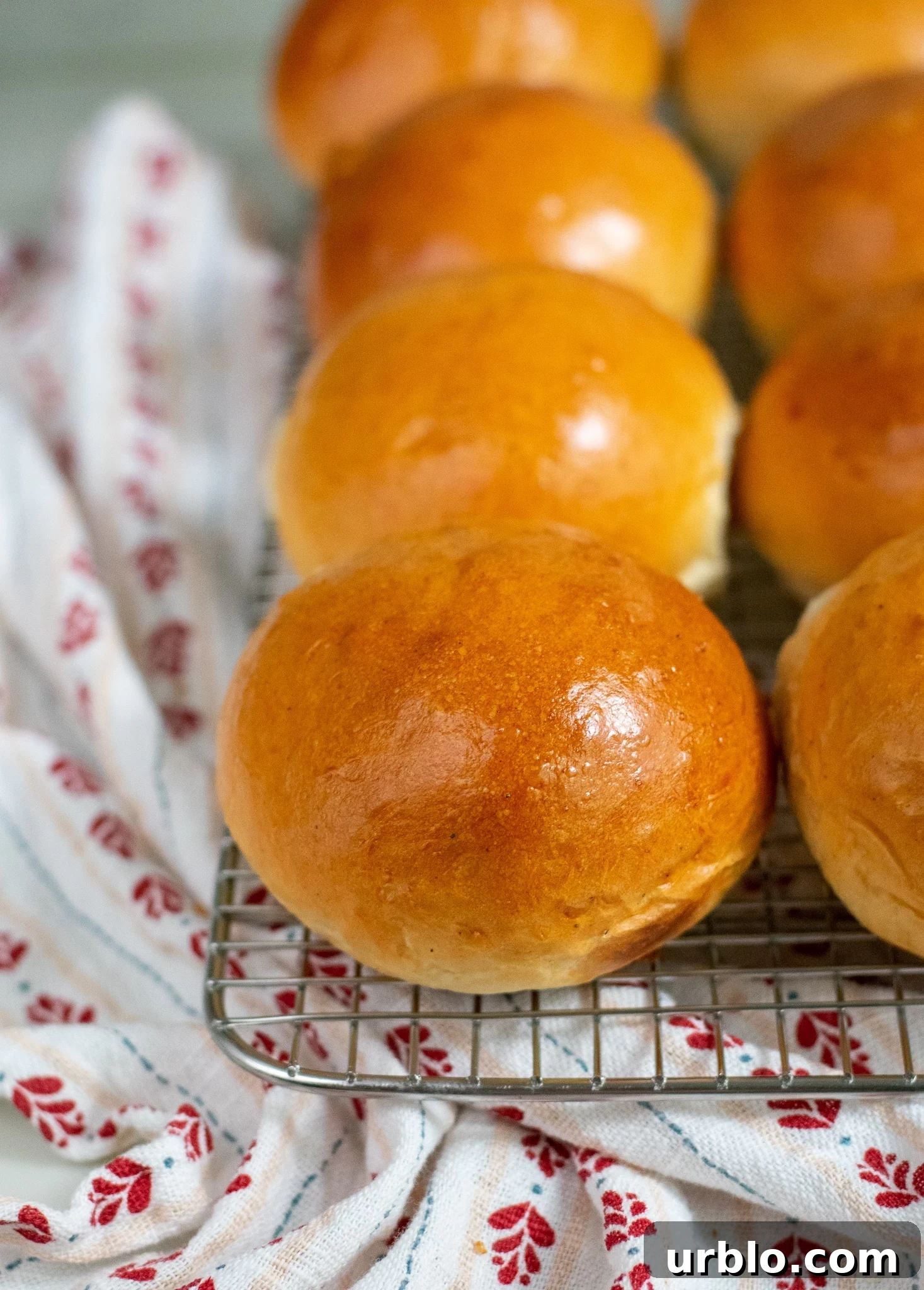 Skandibaking Turns Two: Anniversary Recipes, Tips & Behind-the-Scenes 2 Cardamom rolls on a cooling rack.