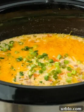 ham and potato soup in a crockpot.