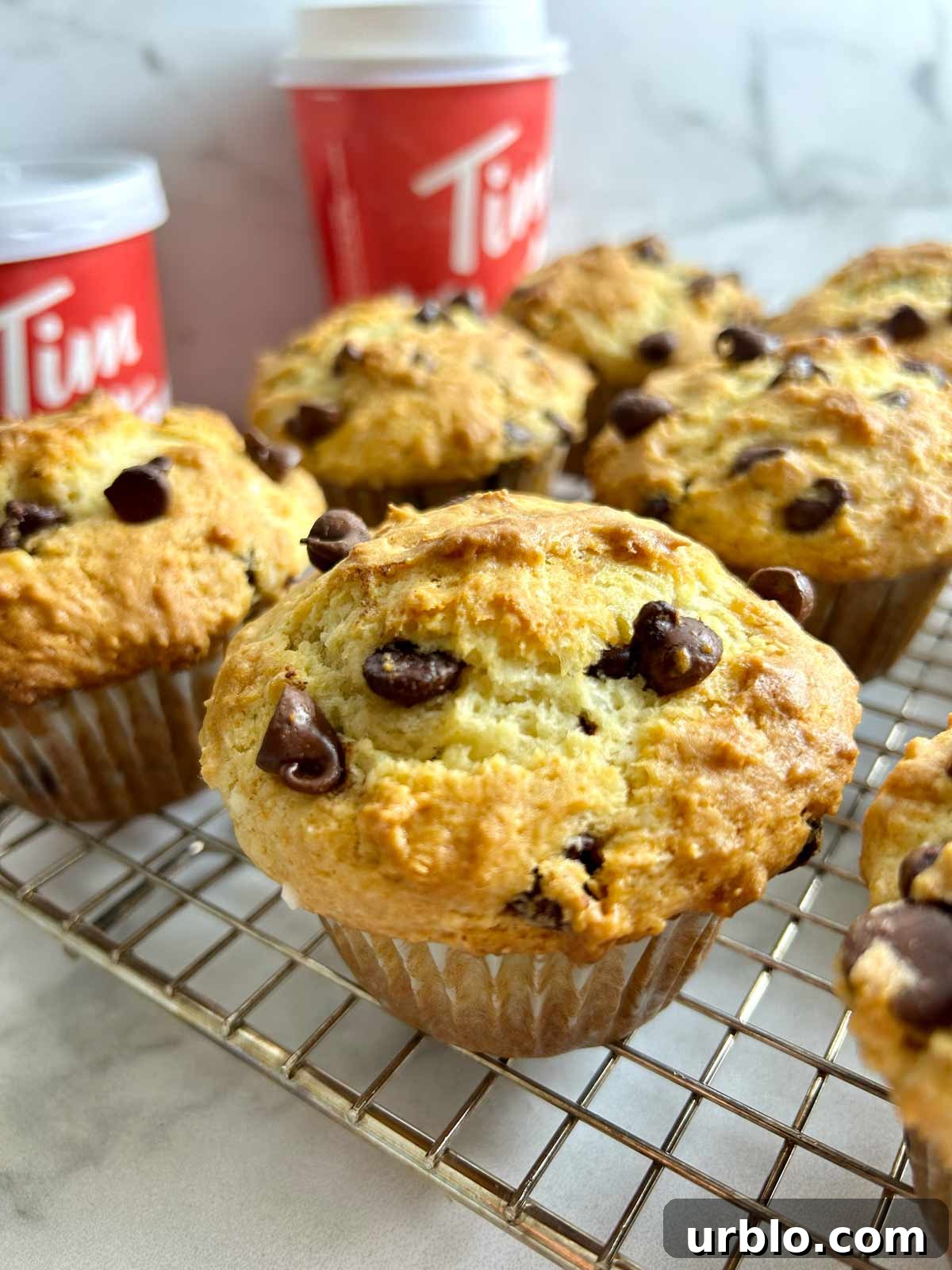 chocolate chip muffins on rack