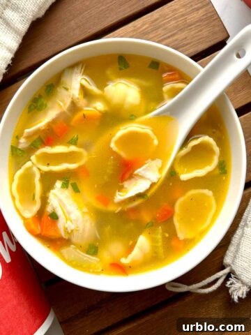 bird's eye view of bowl of chicken noodle soup