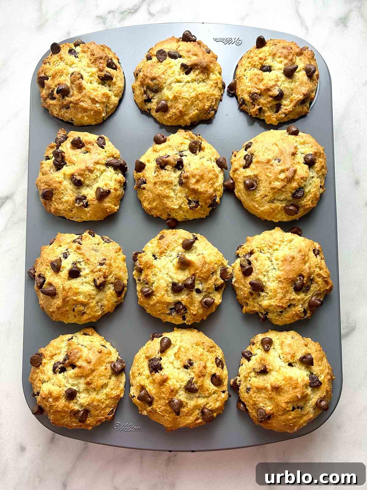 baked chocolate chip muffins in muffin tray