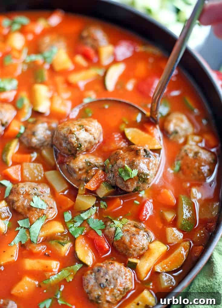 Mexican meatball soup