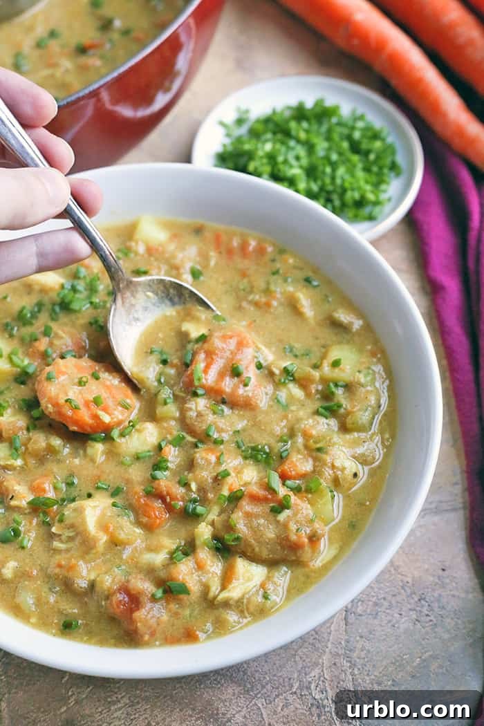Chicken curry soup in bowl