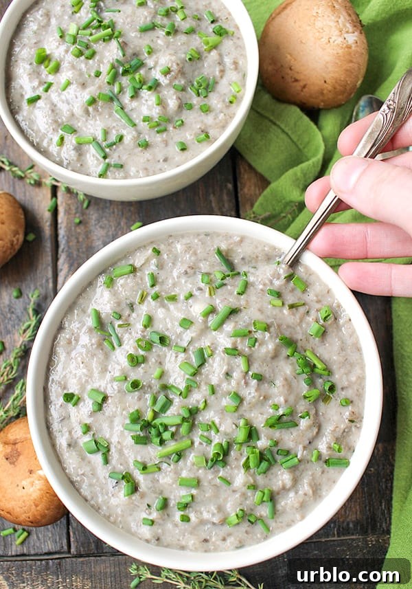 Cream of mushroom soup in bowl