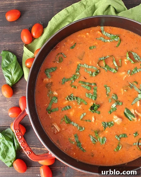 Creamy chicken tomato soup