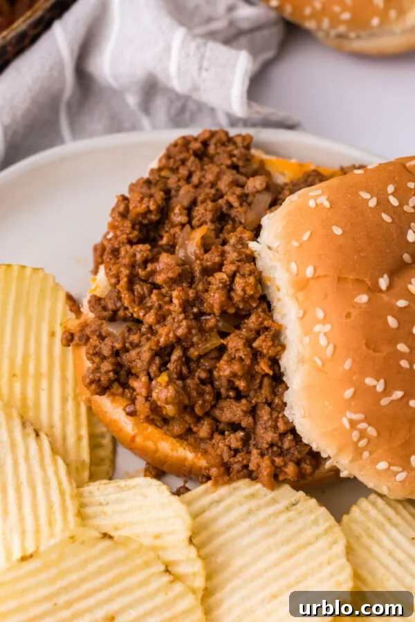 sloppy joes sauce with meat filling on bun and partially covered by the top bun