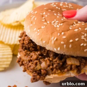 closeup of sloppy joes sandwich