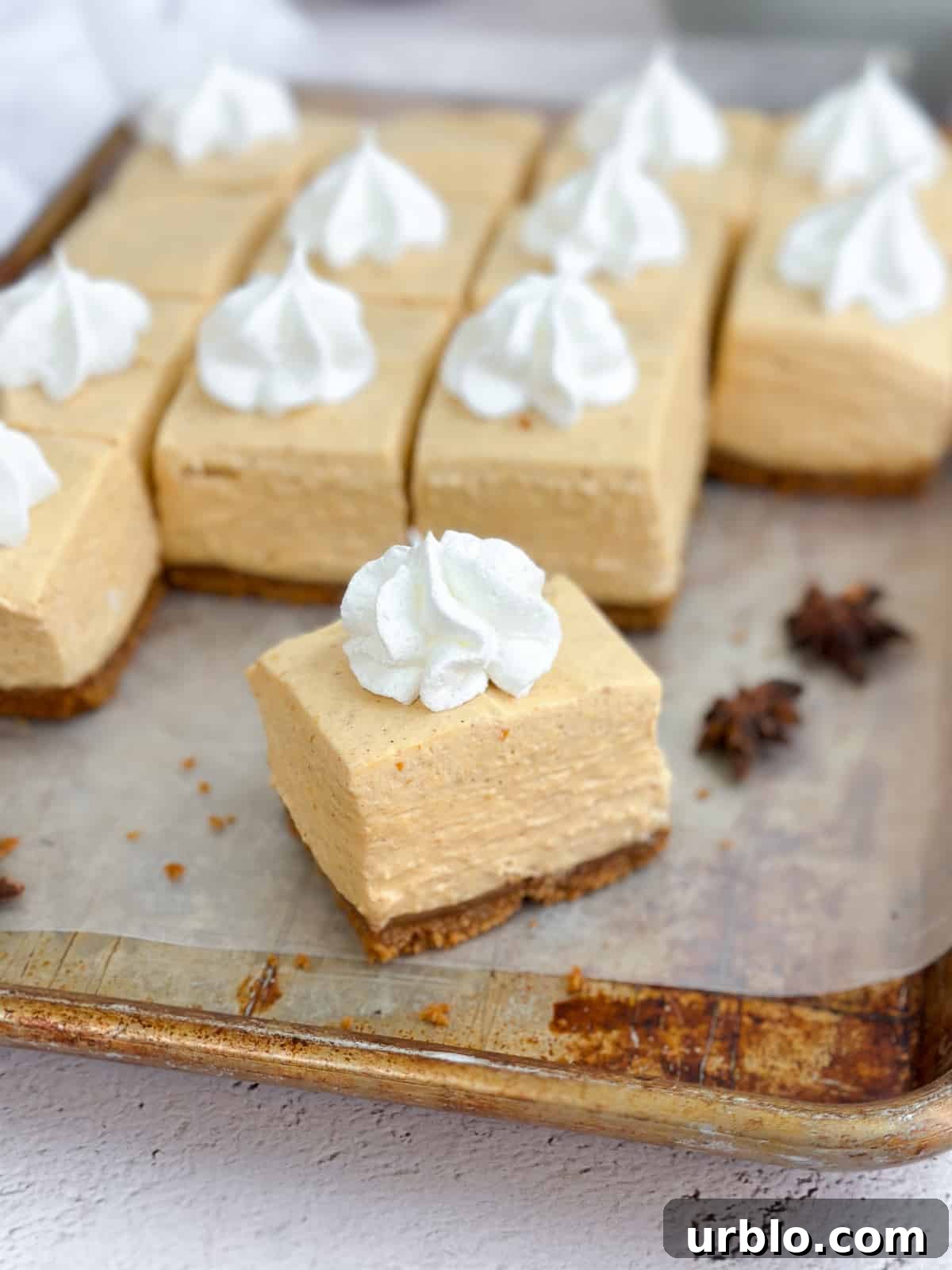 a close up of a square of no bake pumpkin cheesecake bars on a baking sheet.