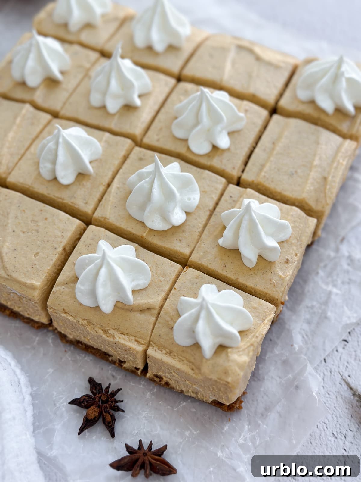 a side view of all the no bake pumpkin cheesecake bars.