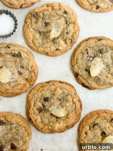 a bunch of chocolate chip potato chip cookies with a little salt on the side.