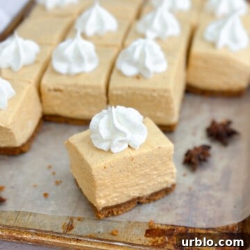a close up of a square of no bake pumpkin cheesecake bars on a baking sheet.