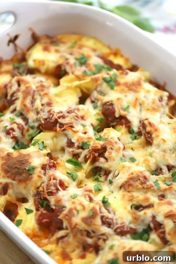 A baking dish full of cheese stuffed shells with cottage cheese, mozzarella, ricotta, and parmesan. 
