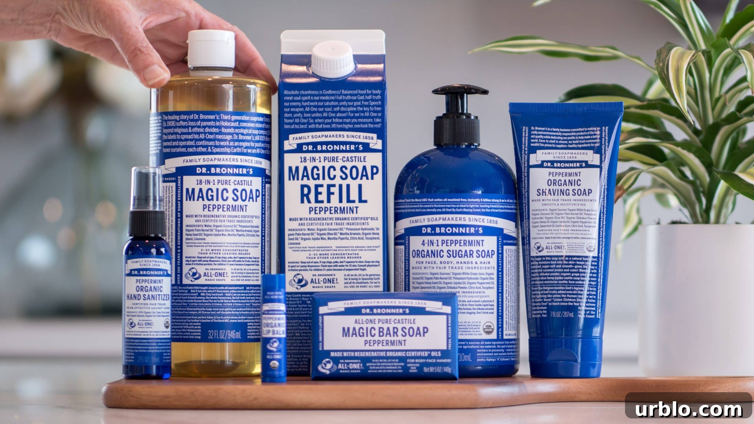 Why Peppermint Oil Feels Cooling — Surprising Mint Facts 4 Full lineup of Dr. Bronner's Peppermint products.