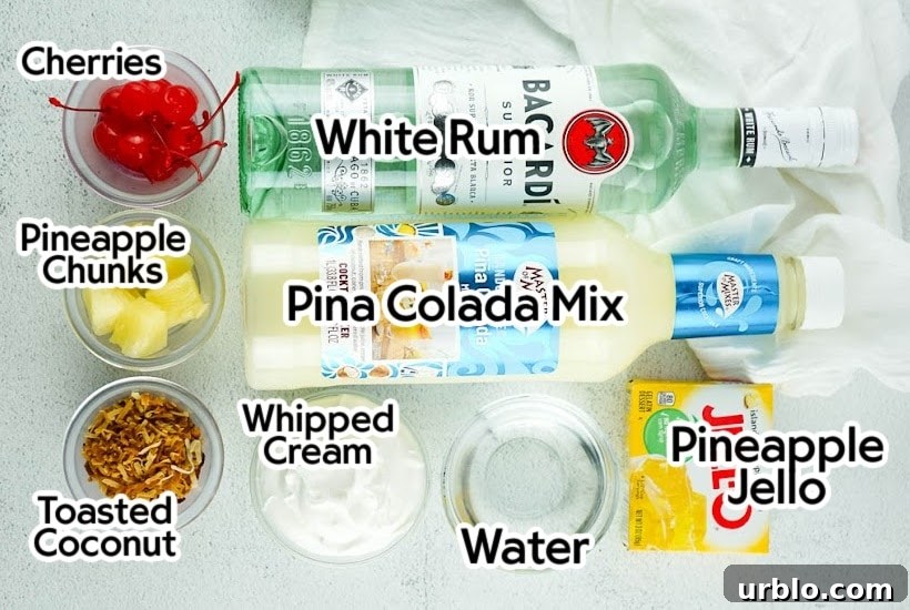 Labelled ingredients needed to make Pina Colada Jello Shots.