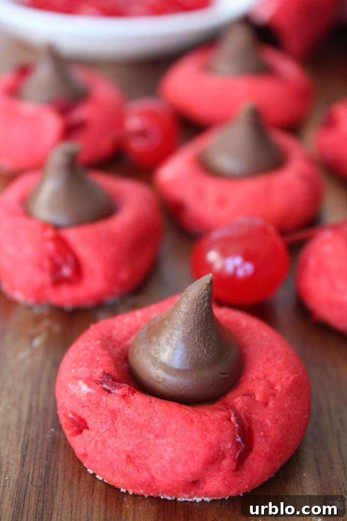Chocolate Cherry Blossoms