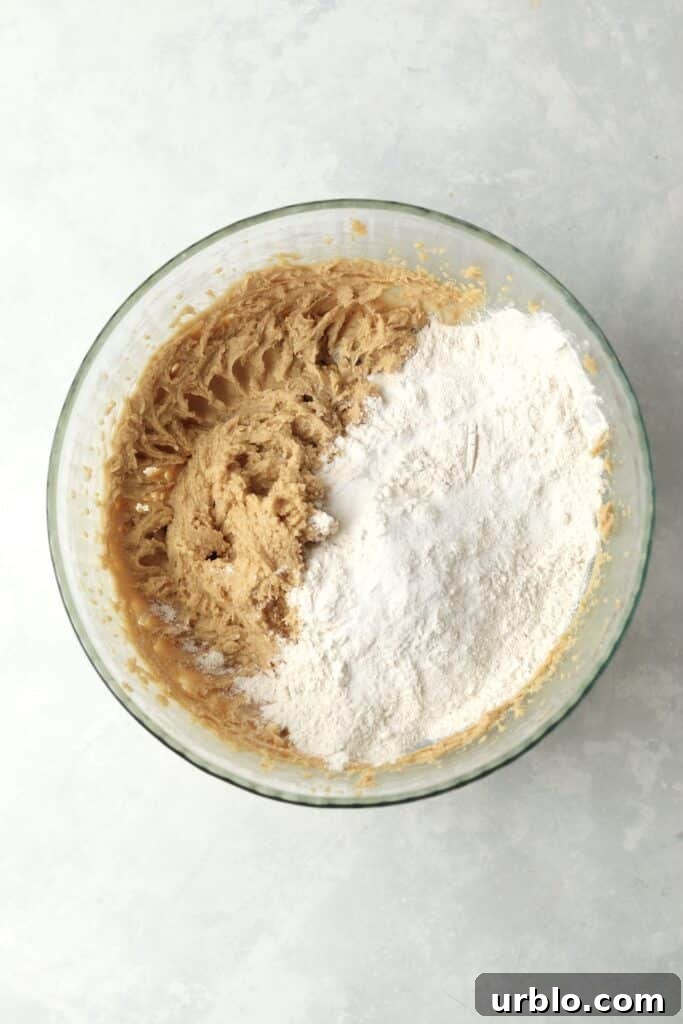 dry ingredients being added to dough