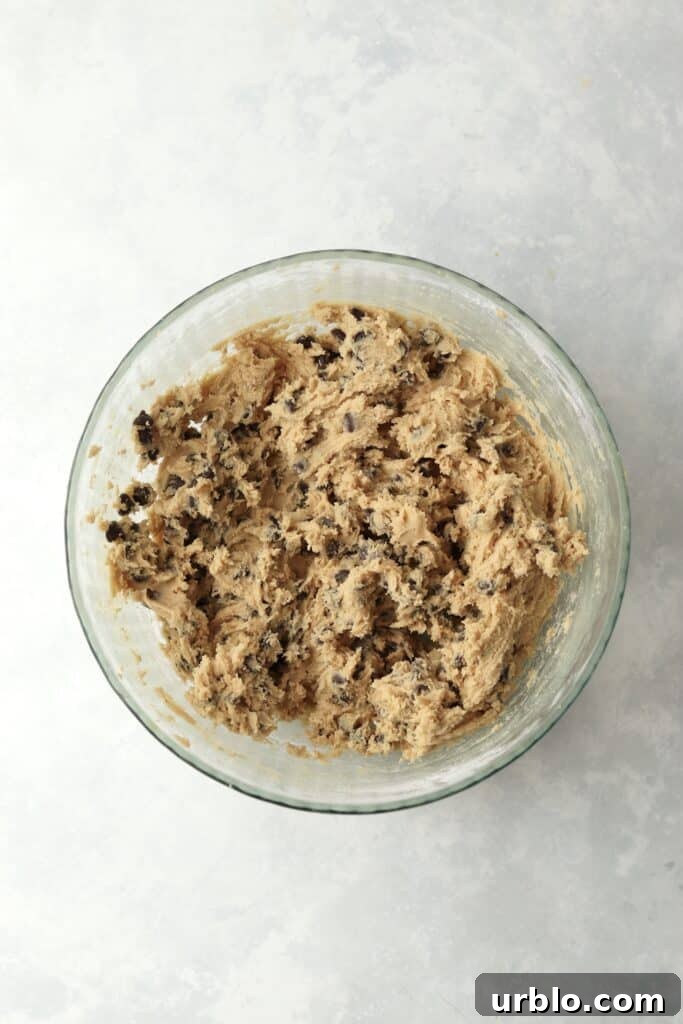 mixed chocolate chip cookie dough