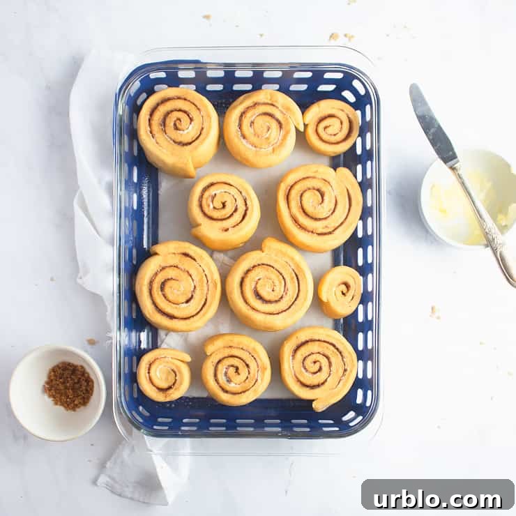 cinnamon rolls in a pan