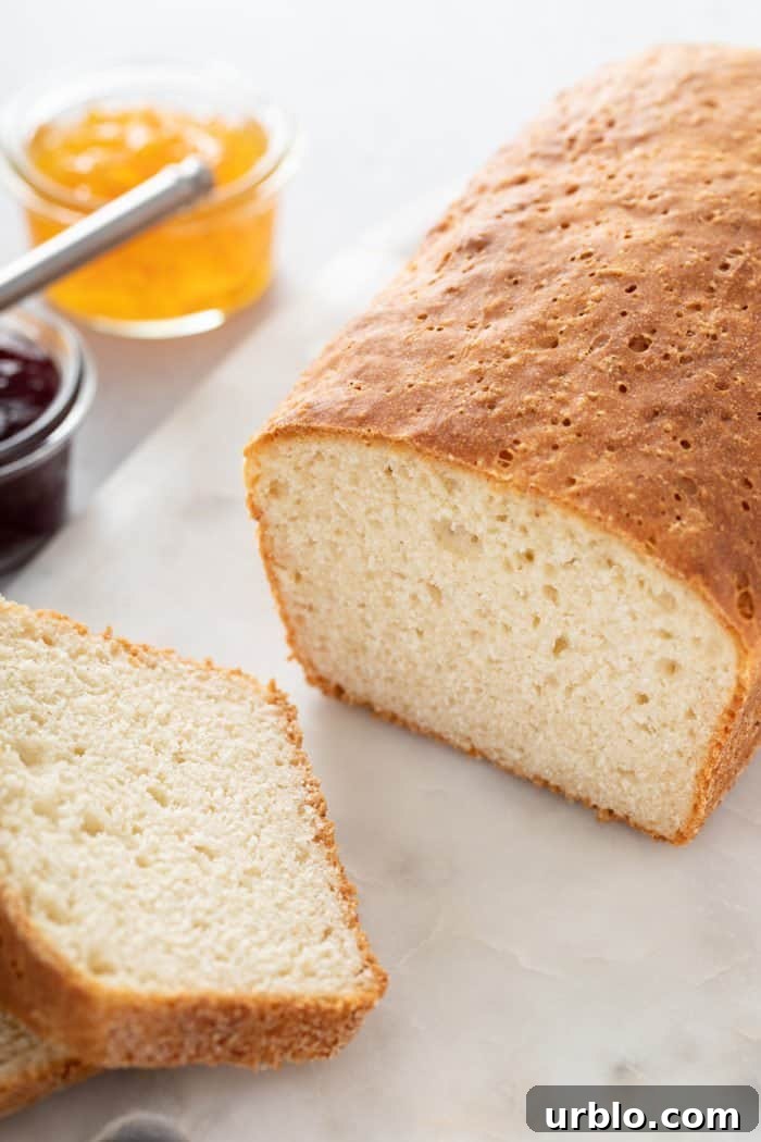 Close up of a sliced piece of english muffin bread, showing the nooks and crannies