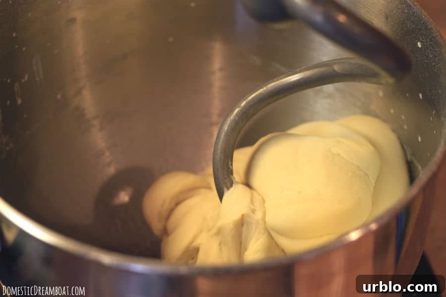 How to Make Fluffy Homemade Hamburger Buns 2 Homemade hamburger buns