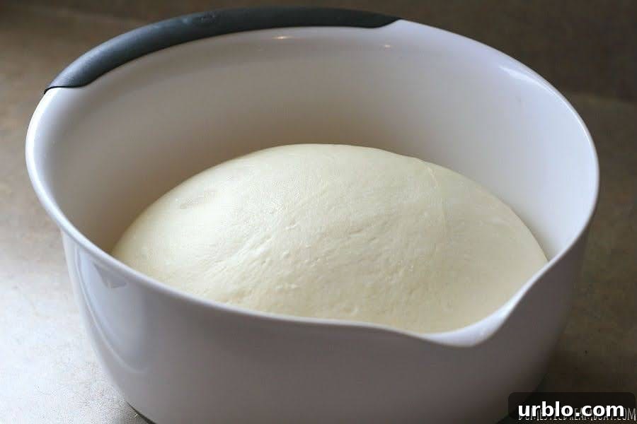 How to Make Fluffy Homemade Hamburger Buns 3 Dough after first rise