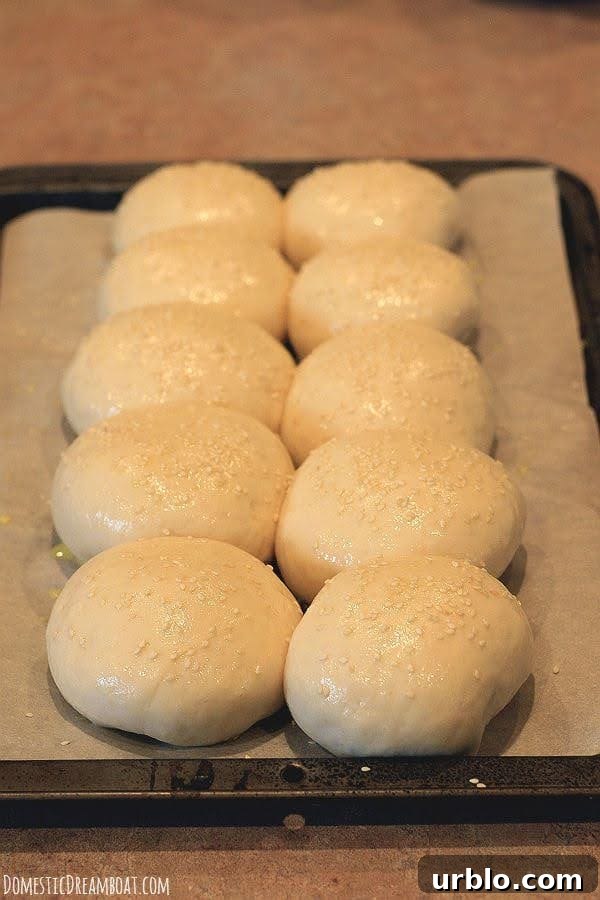 How to Make Fluffy Homemade Hamburger Buns 5 Shaped bun dough on baking sheet