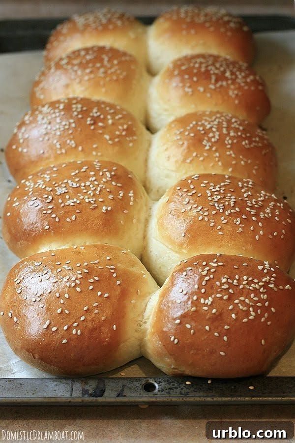 How to Make Fluffy Homemade Hamburger Buns 6 Freshly baked hamburger buns