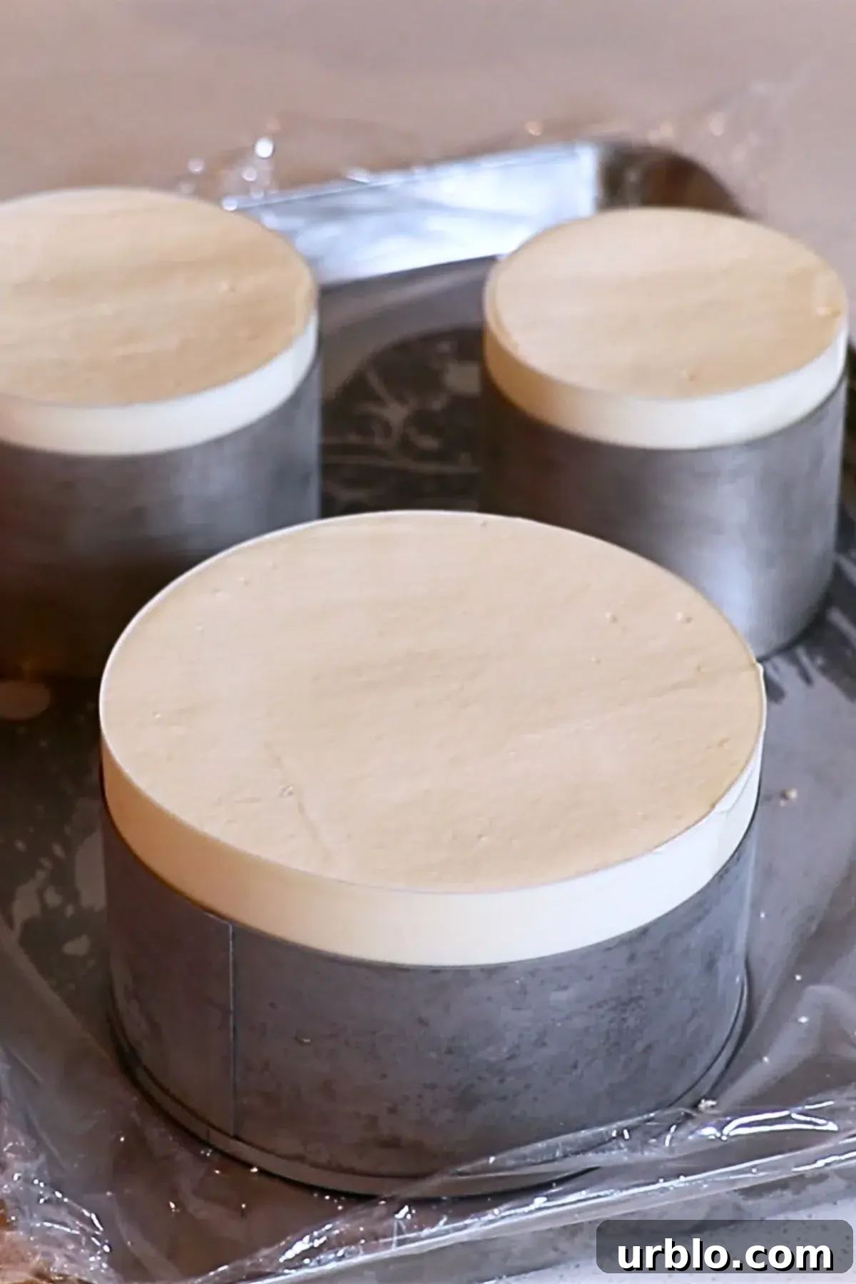 Silky Lemon Mousse Recipe with Fresh Citrus Zest 20 assembled lemon mousse cakes in cake rings