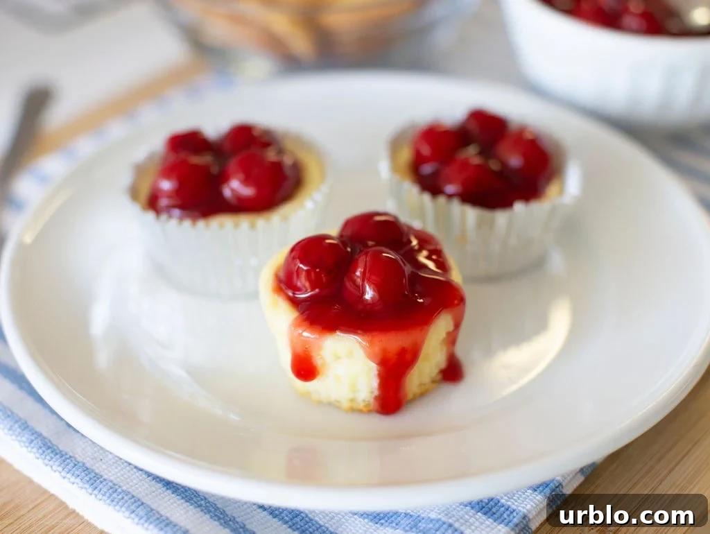 Mini Cherry Cheesecakes Made in a Muffin Tin 2 Three mini cheesecakes topped with cherry sauce sit on a white plate. The cheesecakes are in paper liners, and the plate rests on a blue and white striped cloth.