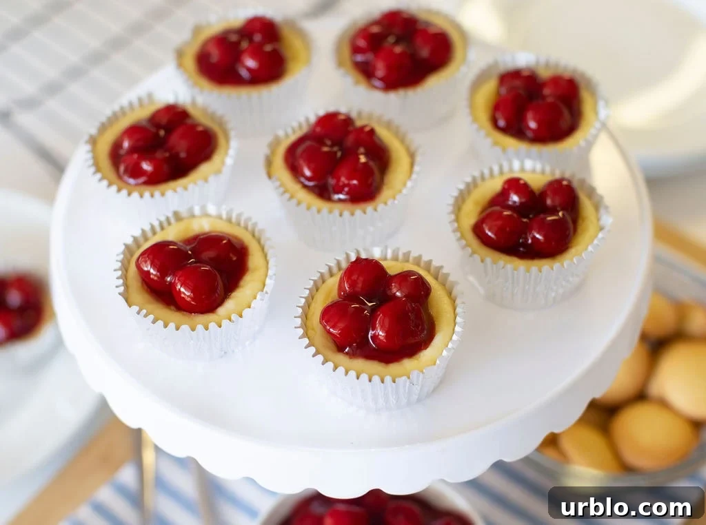 Mini Cherry Cheesecakes Made in a Muffin Tin 4 Mini cheesecakes in white cupcake liners topped with glossy red cherries are arranged on a white cake stand.