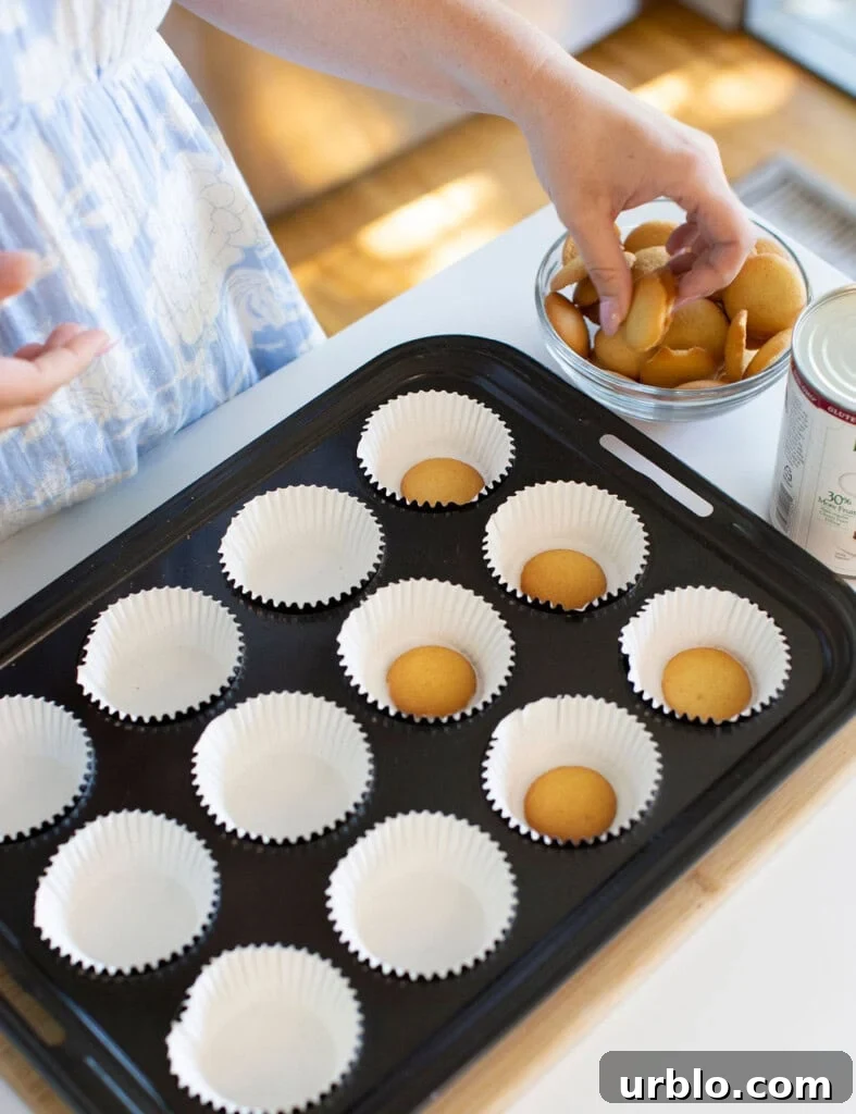 Mini Cherry Cheesecakes Made in a Muffin Tin 7 Placing vanilla wafers into paper cupcake liners arranged on a baking tray.