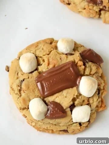Single-serve s'mores cookies with mini marshmallows, Hersheys chocolate, and graham crackers.