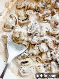Dairy-free Mushroom Sauce