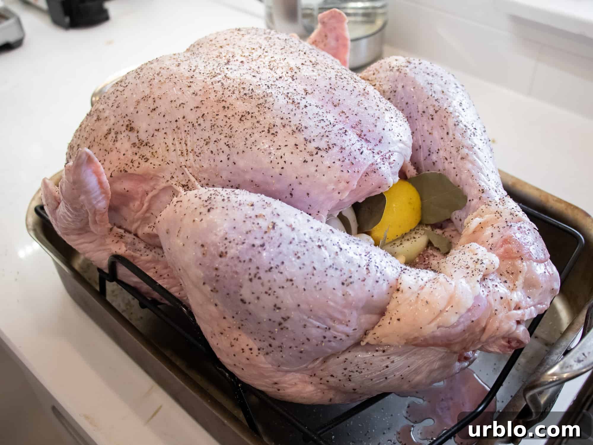 Perfect Roast Turkey: Step-by-Step Guide for Juicy Results 3 Season the raw chicken with salt and pepper. Fill cavity with onion, lemon and bay leaves