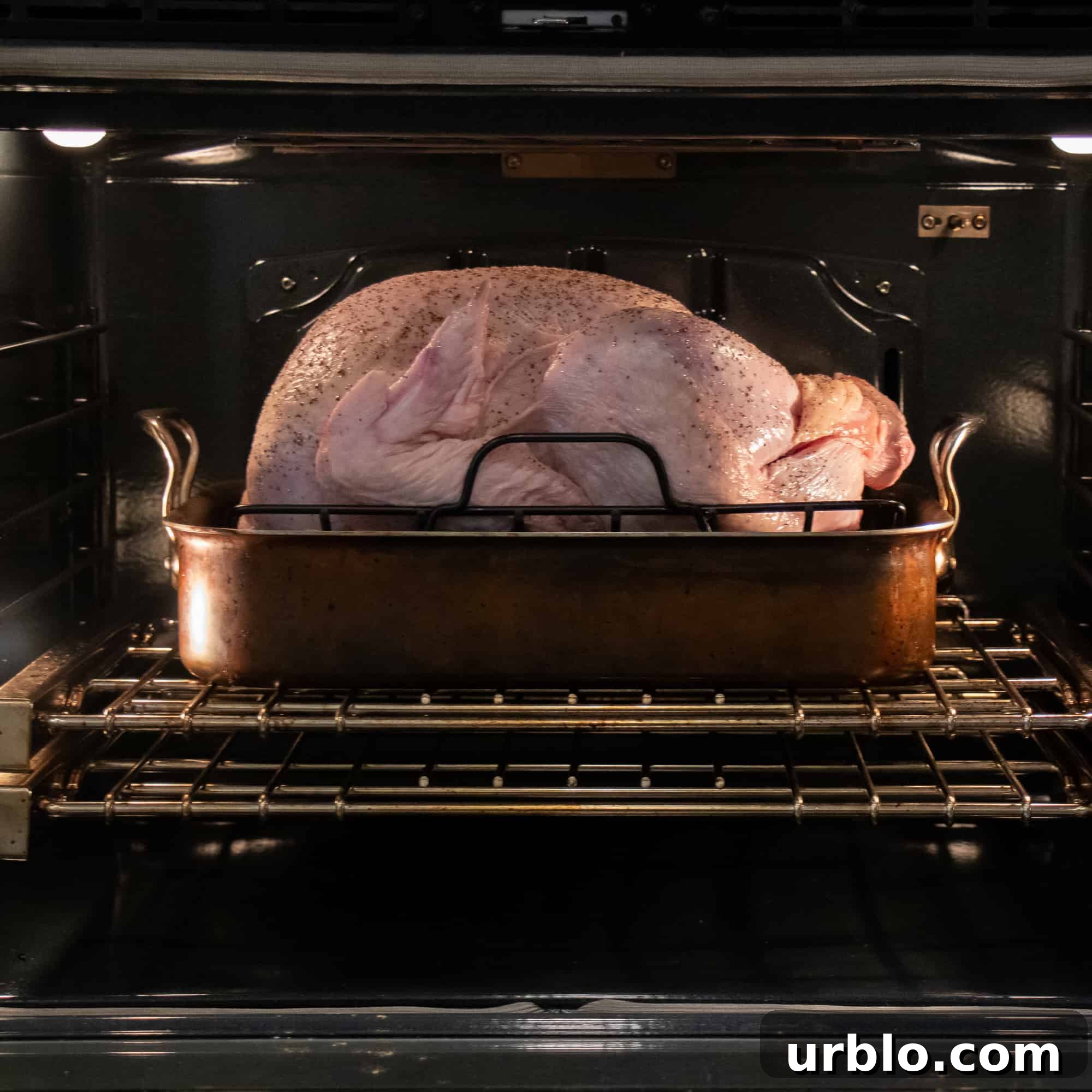 Perfect Roast Turkey: Step-by-Step Guide for Juicy Results 5 Put the turkey in the oven.