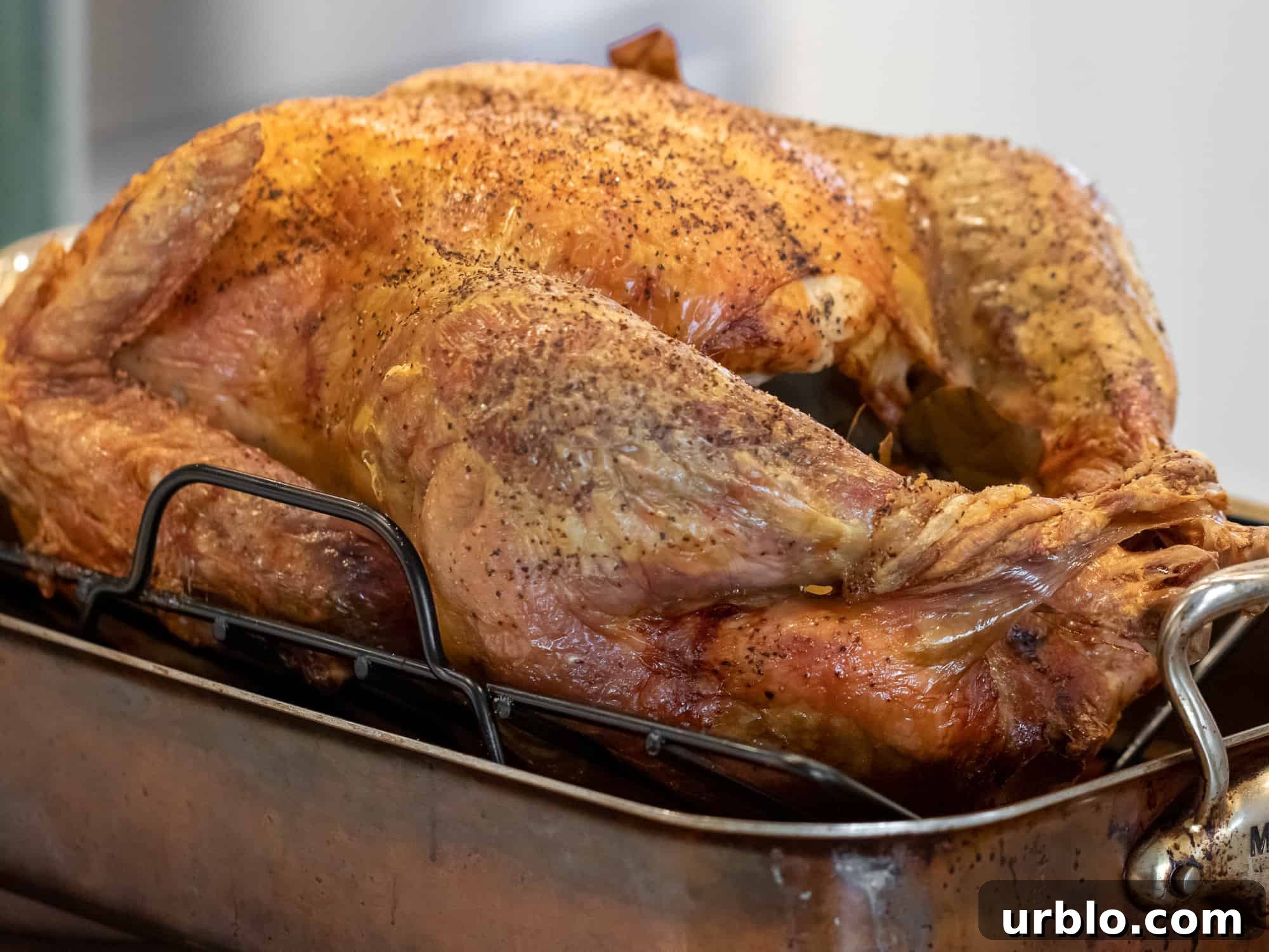 Perfect Roast Turkey: Step-by-Step Guide for Juicy Results 6 Perfectly roasted unstuffed turkey
