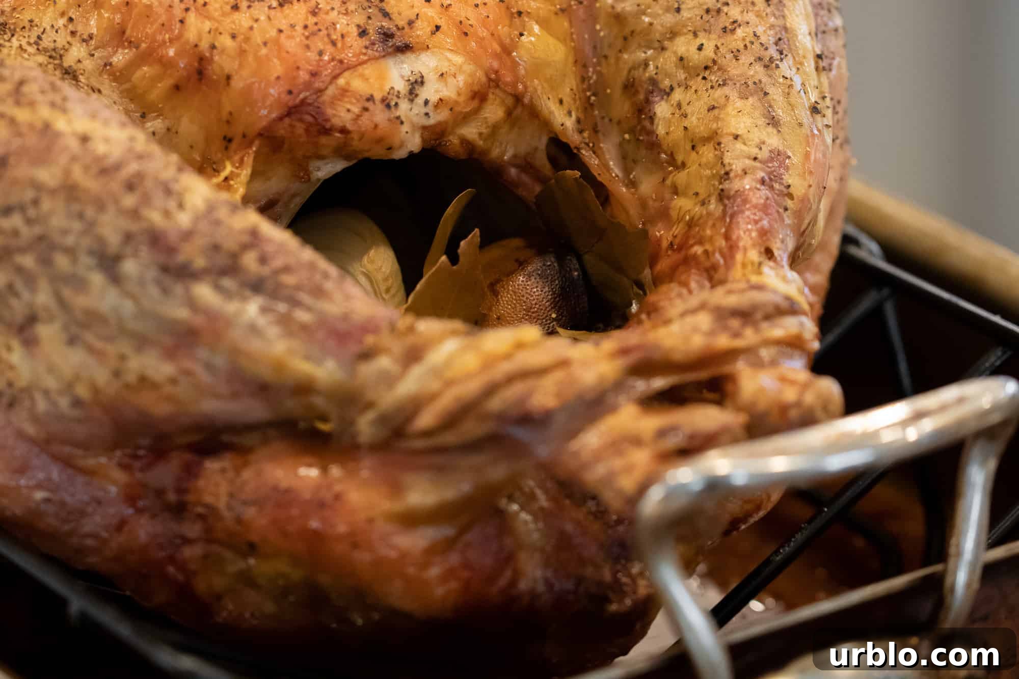 Perfect Roast Turkey: Step-by-Step Guide for Juicy Results 7 img 19317 6