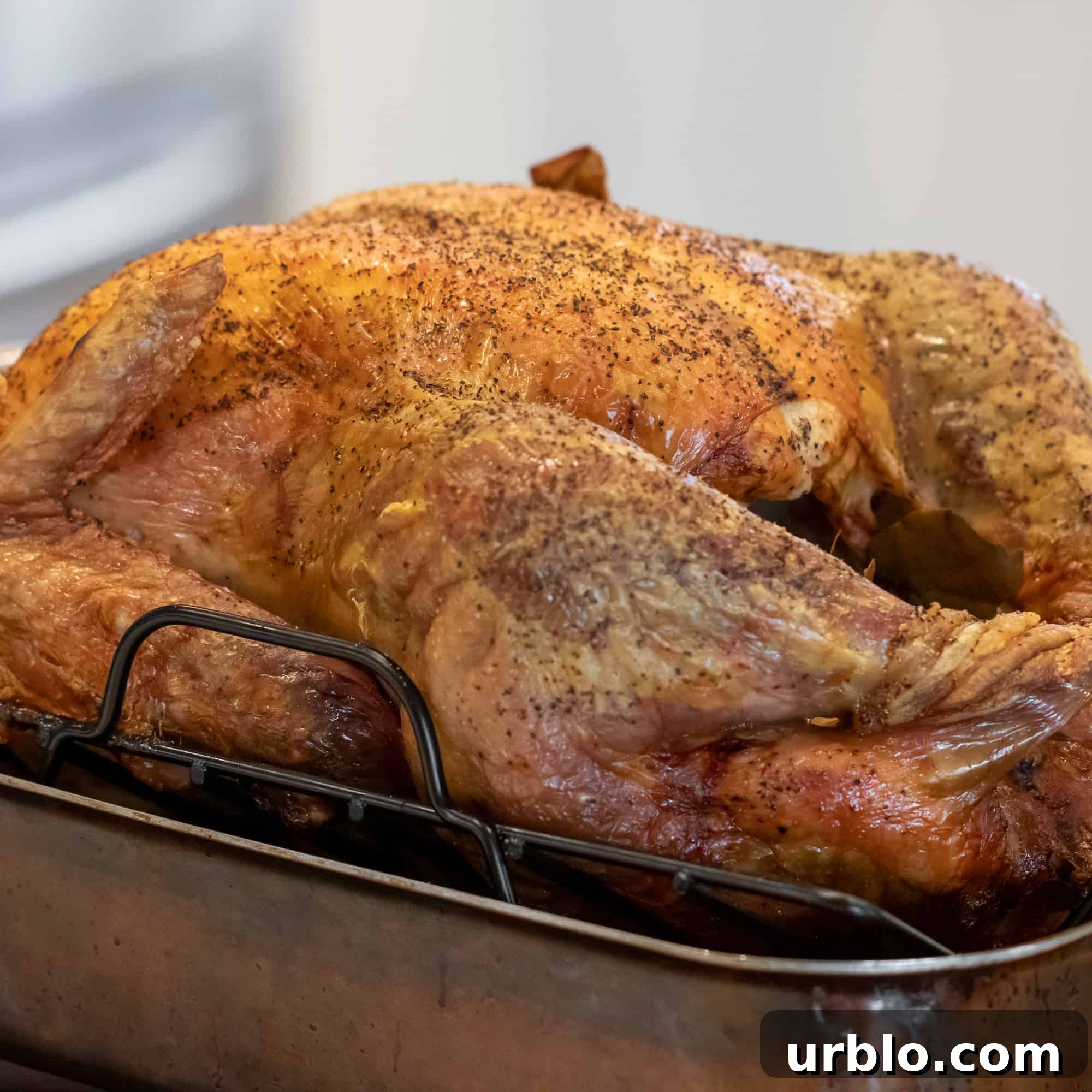Perfect Roast Turkey: Step-by-Step Guide for Juicy Results 8 img 19317 7