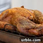 Instructions for how to cook an unstuffed turkey in an oven. Recipe and details for how long to roast a turkey.