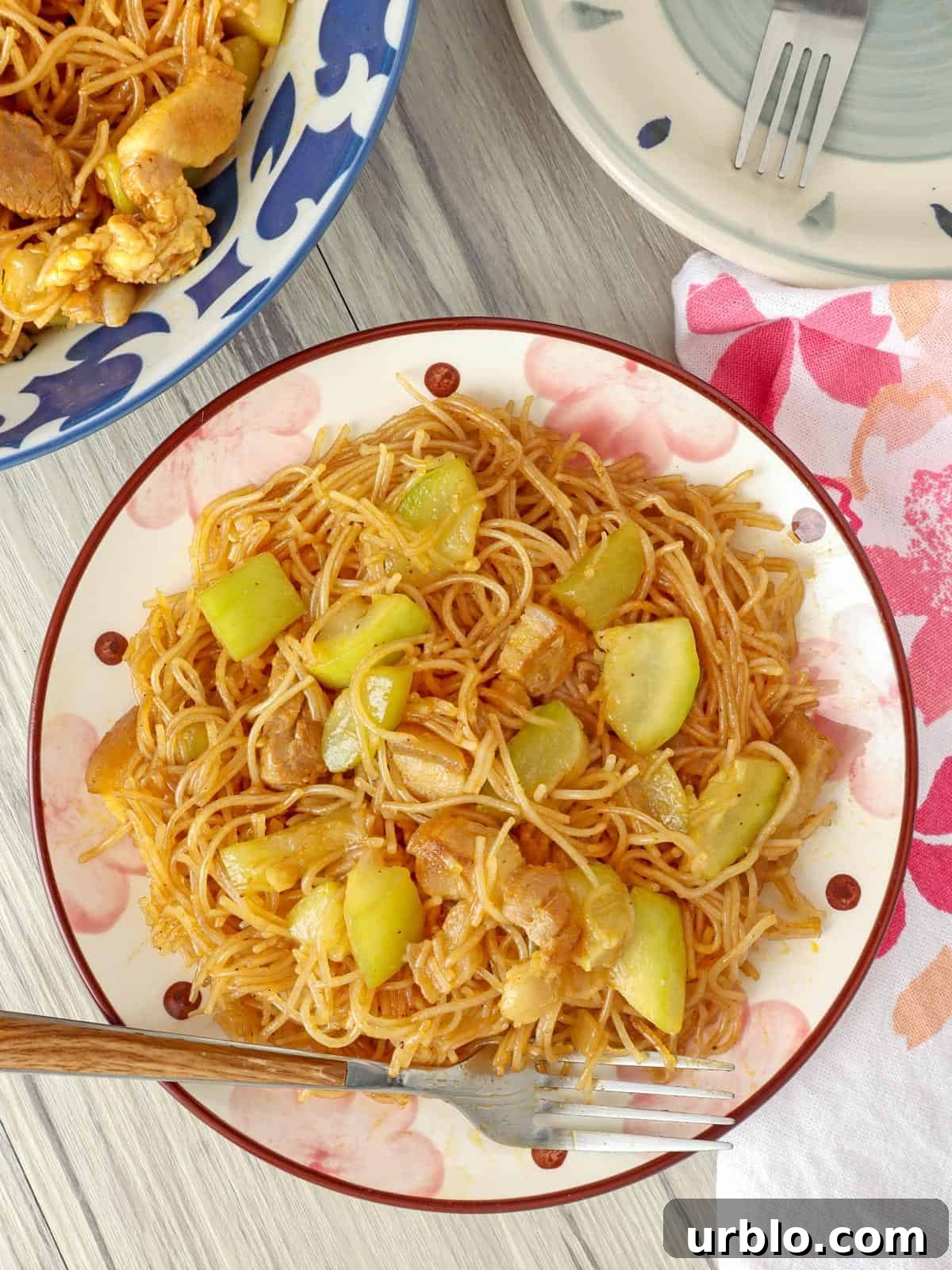 Pancit Upo Recipe: Filipino Bottle Gourd Noodles 2 top view of pancit bahay on a serving plate