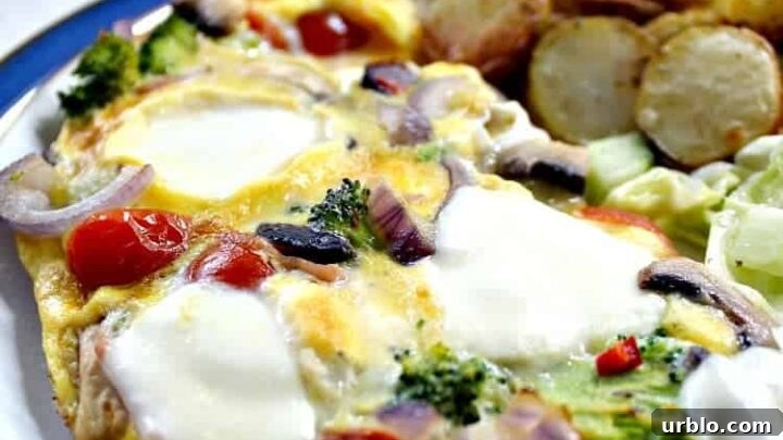 Easy Pizza Omelette