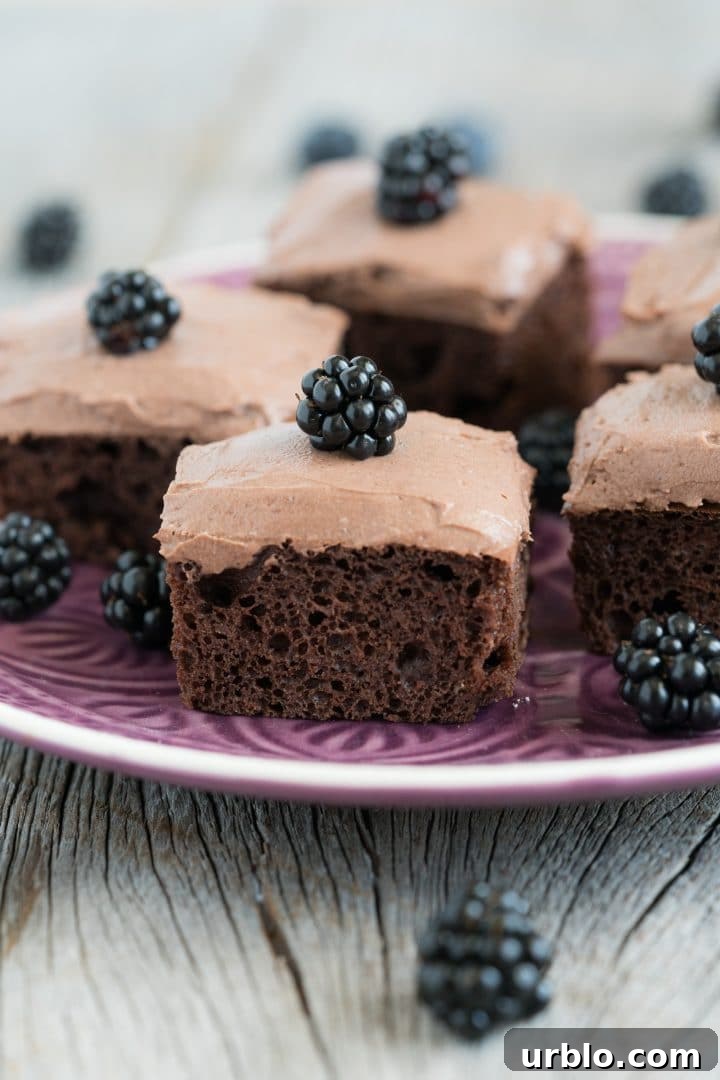 High-Protein Chocolate Cake Recipe 3 protein-powder-fitness-cake-recipe