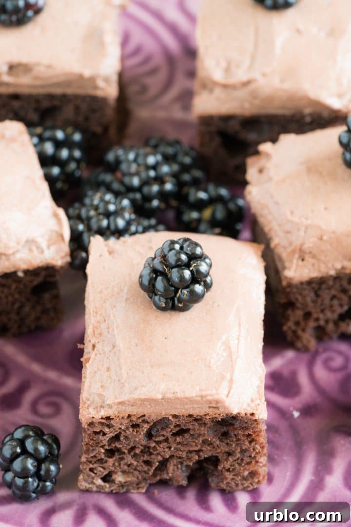 High-Protein Chocolate Cake Recipe 4 fitness-cake-with-protein-powder