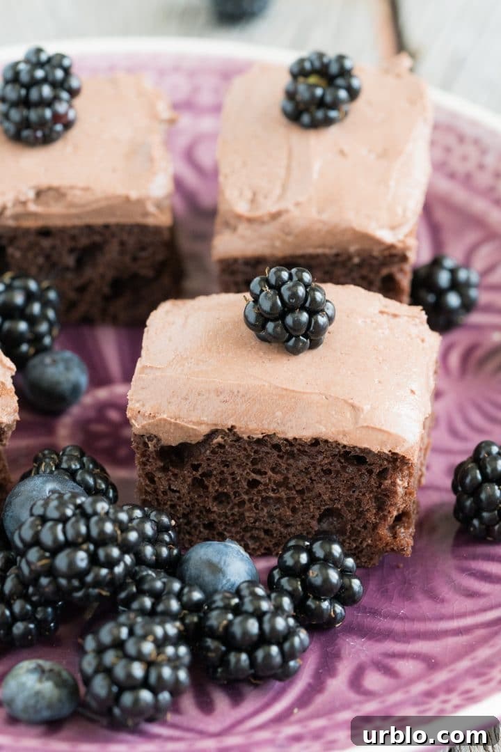 High-Protein Chocolate Cake Recipe 5 chocolate-cake-with-protein-powder