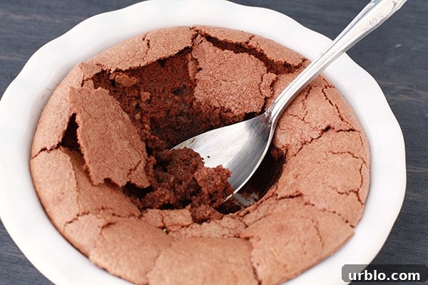 Decadent Chocolate Amaretti Cake Recipe 6 cake
