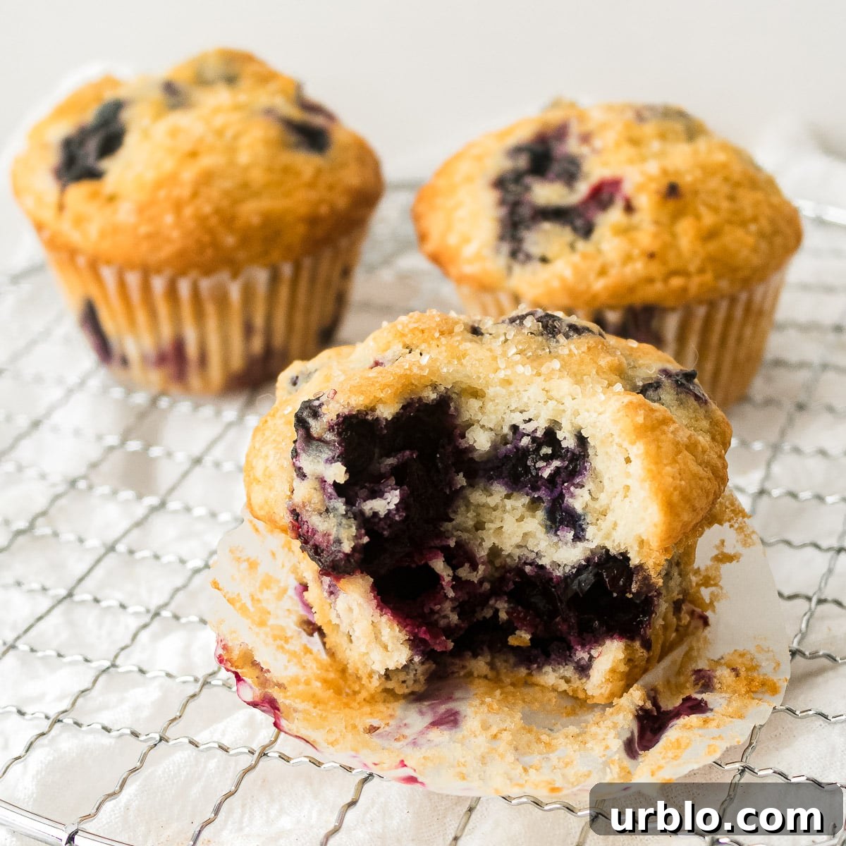 Lemon-Zest Buttermilk Blueberry Muffins 3 lemon blueberry buttermilk muffins with a bite taken out