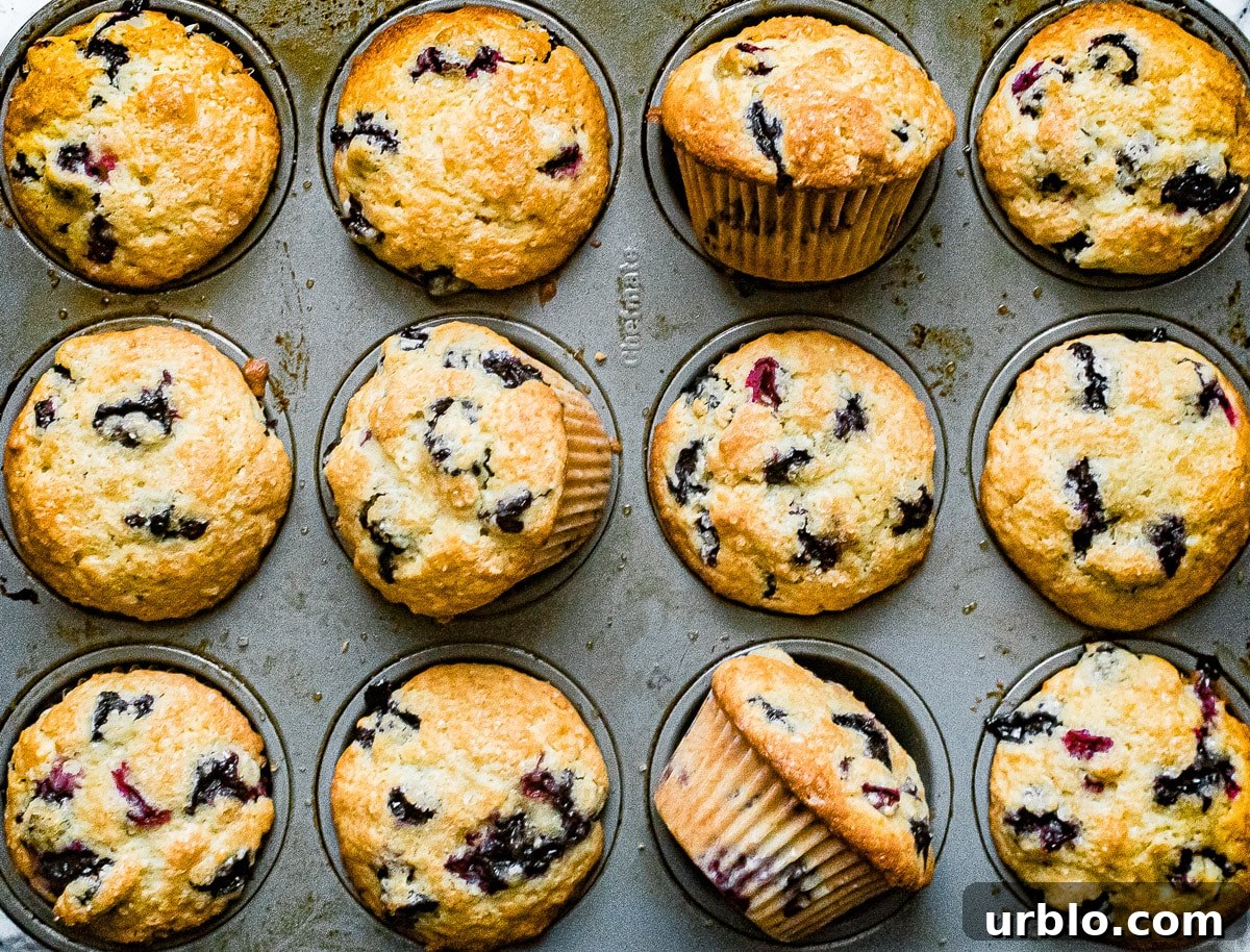 Lemon-Zest Buttermilk Blueberry Muffins 4 buttermilk blueberry muffins in the pan