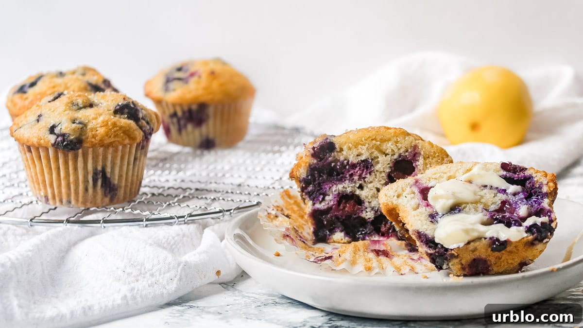 Lemon-Zest Buttermilk Blueberry Muffins 5 buttermilk blueberry muffins with butter on a plate